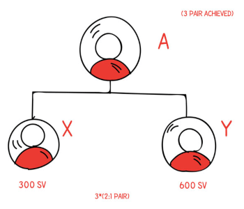 1:2/2:1 binary spillover