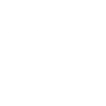 Any third-party API integration