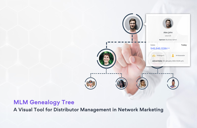 MLM Genealogy  Genealogy Tree in Network Marketing
