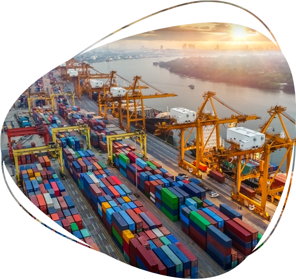 Boti Recicla reverse logistics