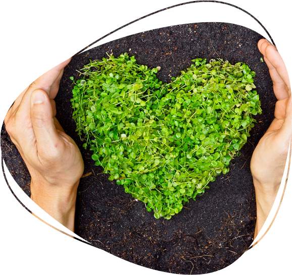 Commitment to environmental awareness