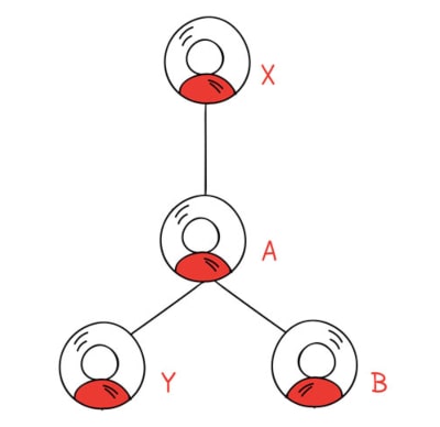 binary plan structure