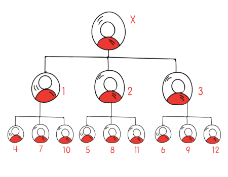 matrix mlm plan