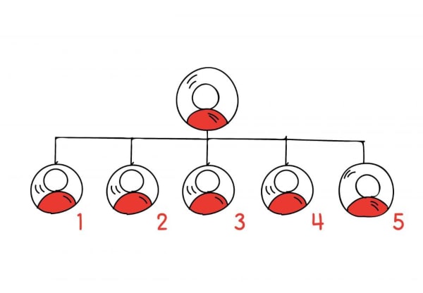 unilevel plan working
