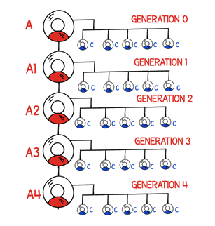 generation mlm tree