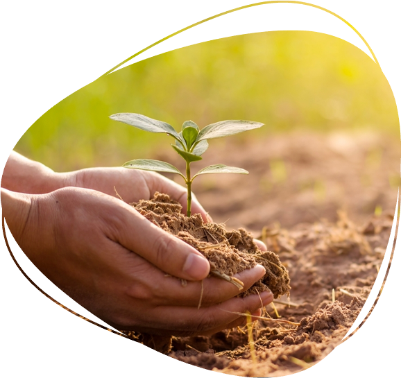 A greener future with doTERRA