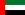 UAE Flag