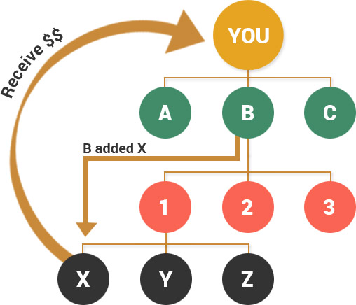 Position Bonus in Matrix MLM Software or Ladder Plan MLM Software