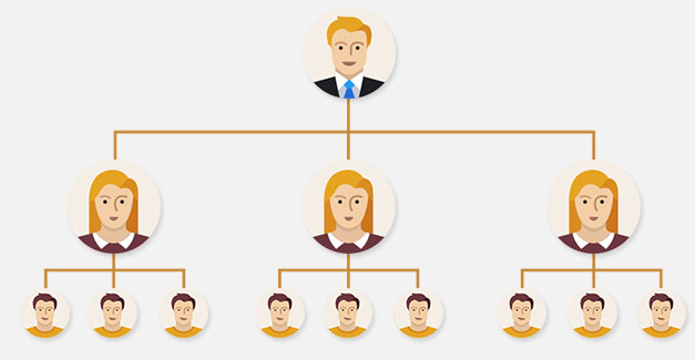 Working of Matrix Plan or Forced Matrix Plan MLM Software