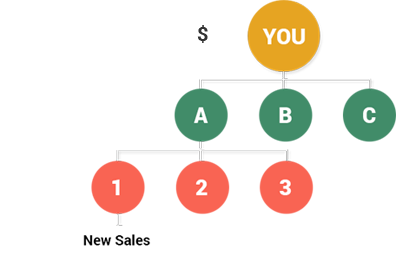 Matrix or Forced Matrix MLM Software Level Bonus