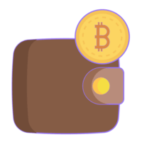 Multiple wallets