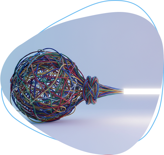 Organizational Simplification & Capital Discipline