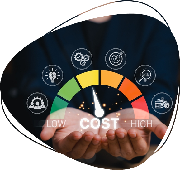 Optimizing the product range and costs
