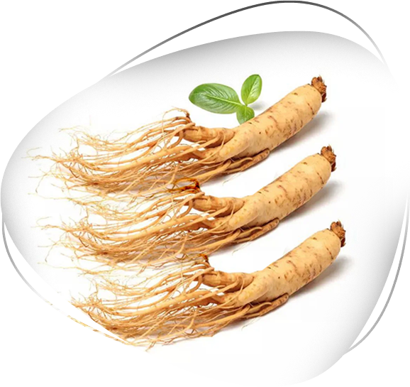 PERFECT’s premium ginseng strategy