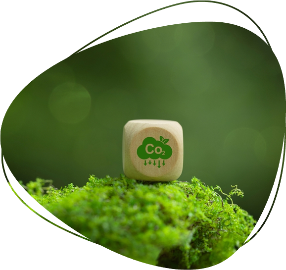 Taking action to reduce emissions