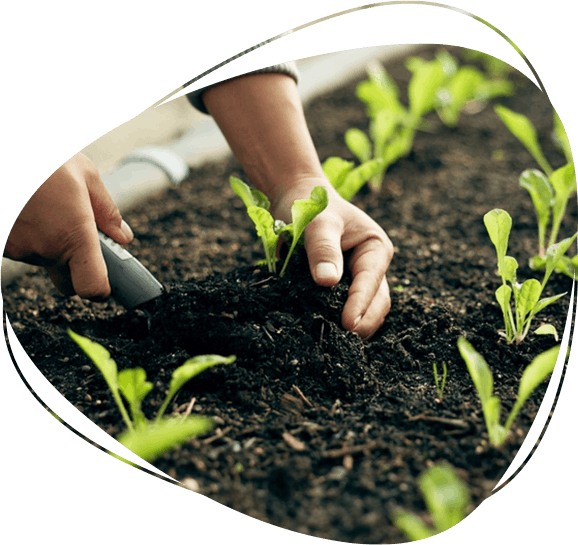 Regenerative Organic Farming