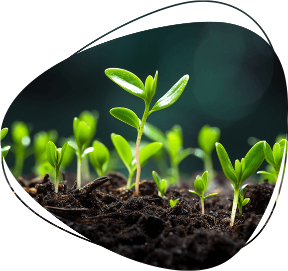Climate goals and sustainability efforts