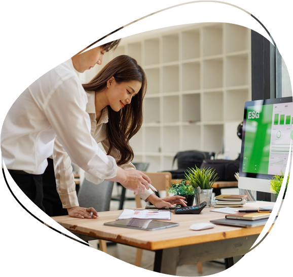 Strategic four-year plan for sustainable business growth