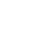 System auto-generated business reports