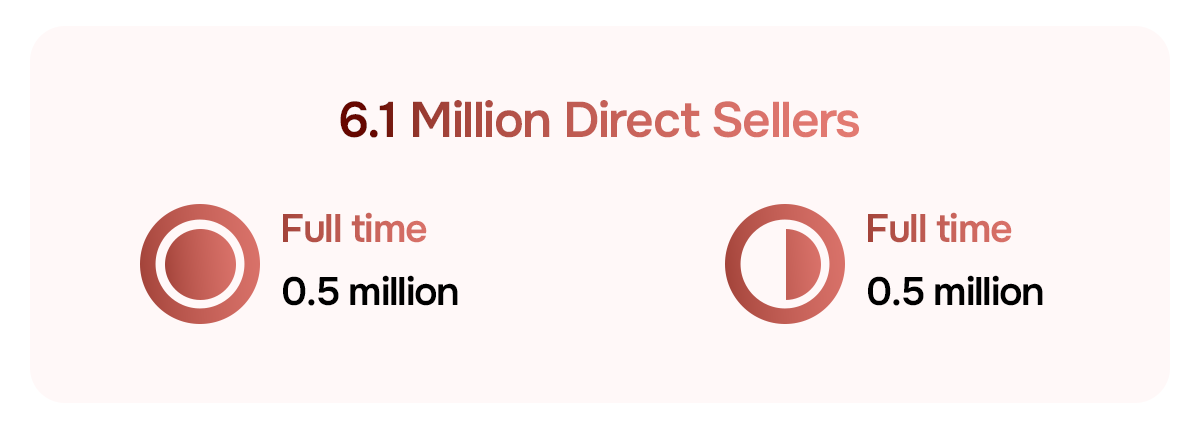 Total Number of Direct Sellers in the USA