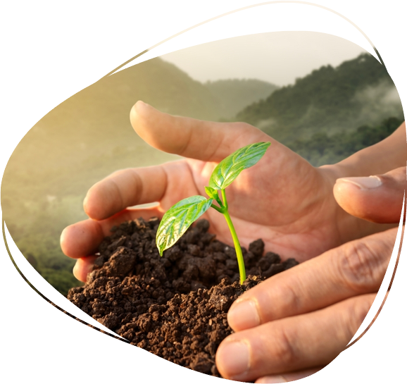 Commitment to a greener future